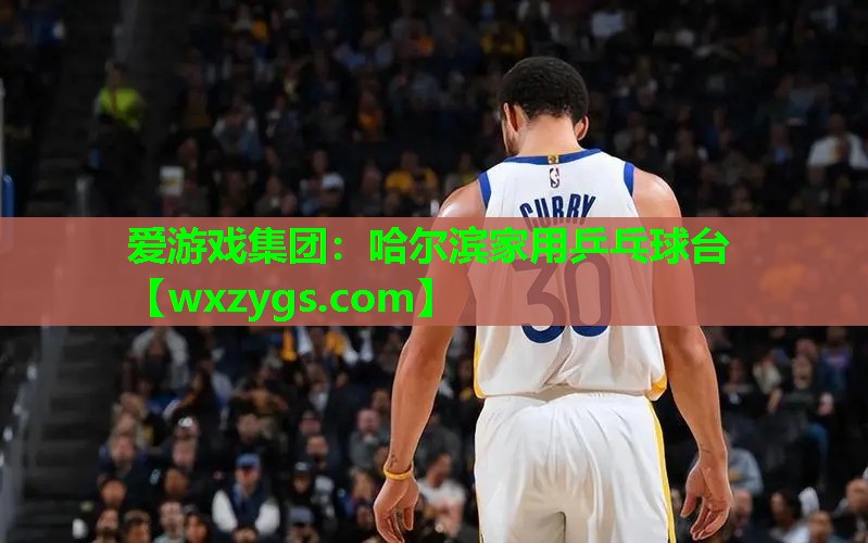 爱游戏集团：哈尔滨家用乒乓球台