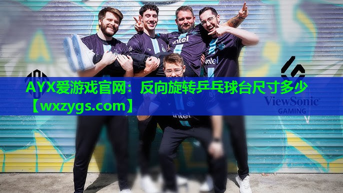 AYX爱游戏官网：反向旋转乒乓球台尺寸多少