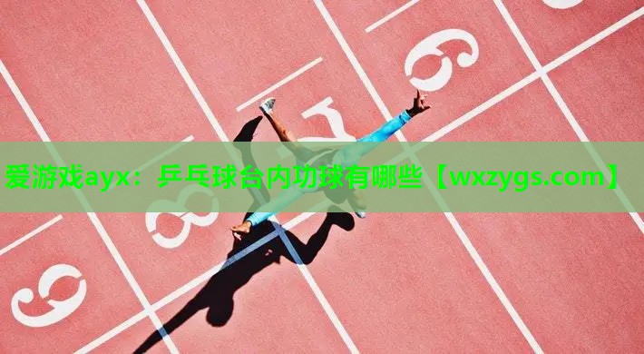 爱游戏ayx：乒乓球台内功球有哪些