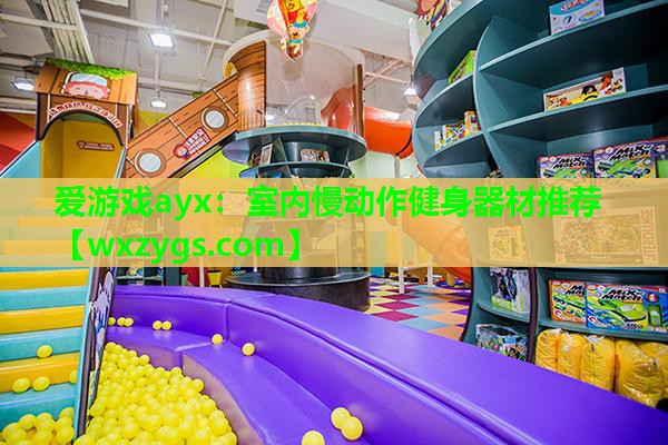爱游戏ayx：室内慢动作健身器材推荐
