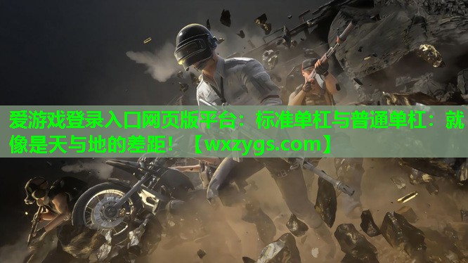 爱游戏登录入口网页版平台：标准单杠与普通单杠：就像是天与地的差距！