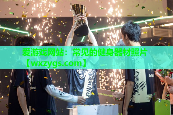 爱游戏网站：常见的健身器材照片