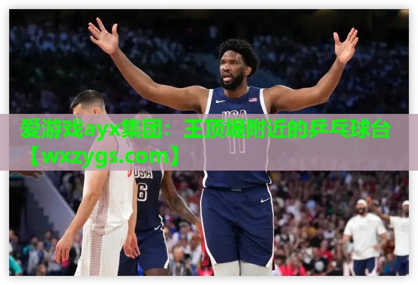 爱游戏ayx集团：王顶堤附近的乒乓球台