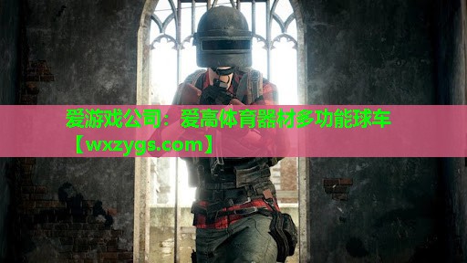 爱游戏公司：爱高体育器材多功能球车