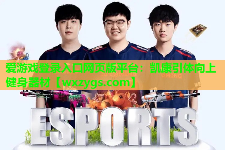 爱游戏登录入口网页版平台：凯康引体向上健身器材