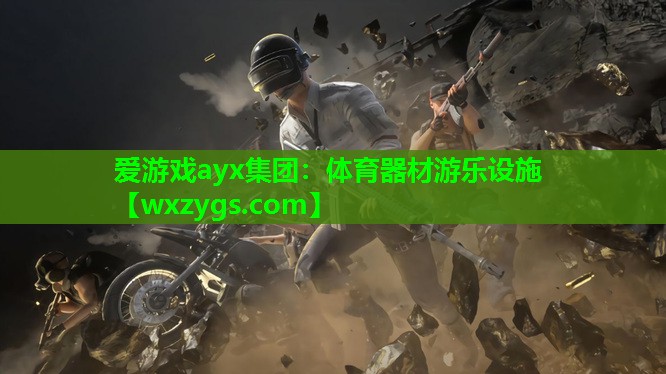 爱游戏ayx集团：体育器材游乐设施