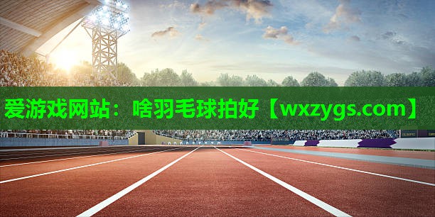 爱游戏网站：啥羽毛球拍好