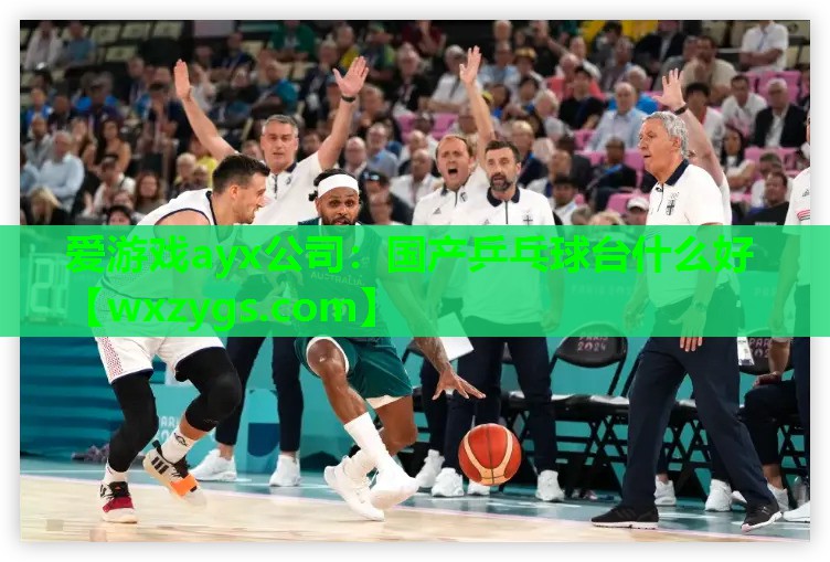 爱游戏ayx公司：国产乒乓球台什么好