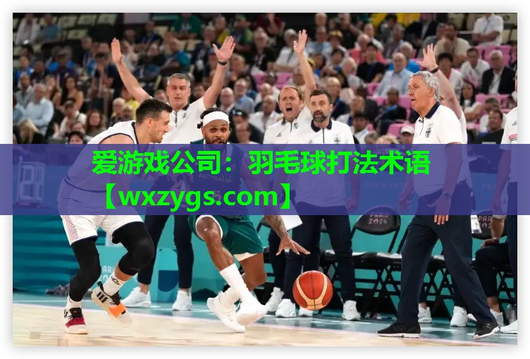 爱游戏公司：羽毛球打法术语