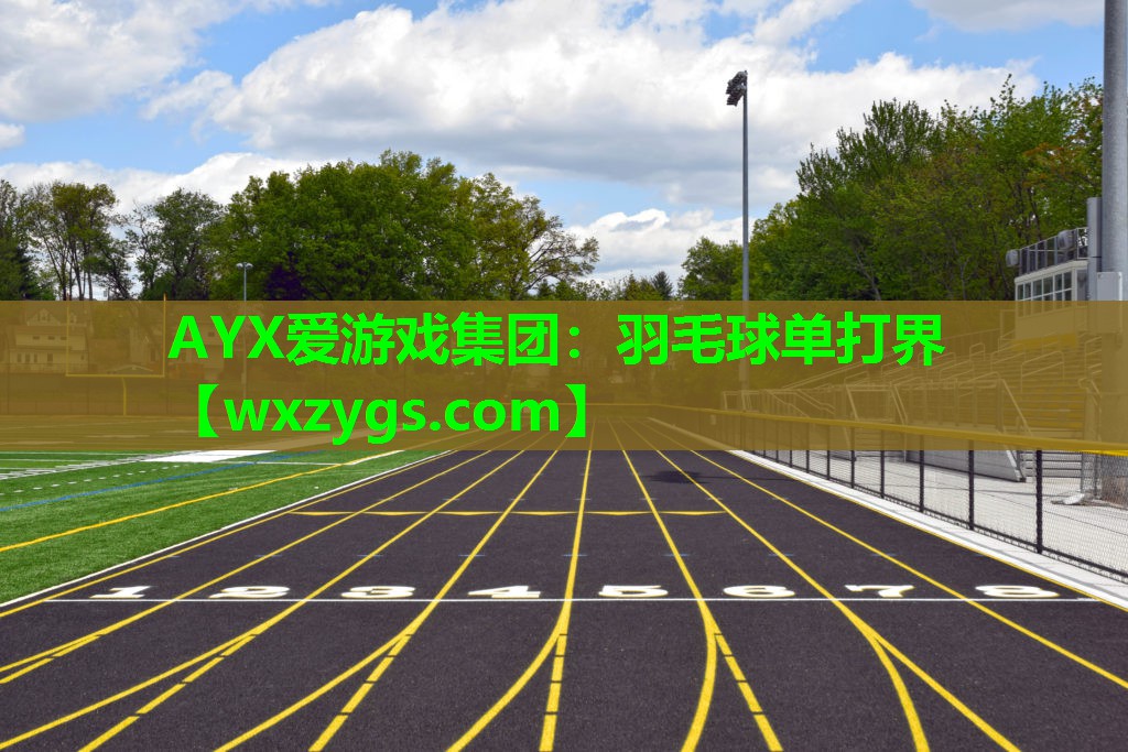 AYX爱游戏集团：羽毛球单打界