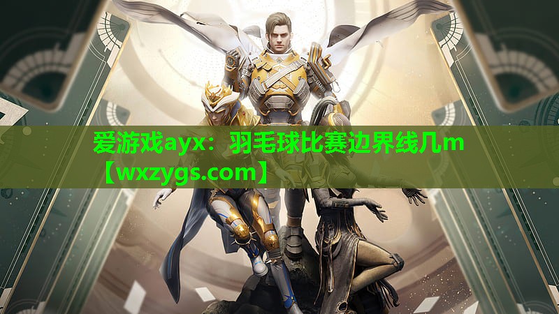 爱游戏ayx：羽毛球比赛边界线几m