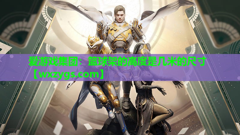爱游戏集团：篮球架的高度是几米的尺寸