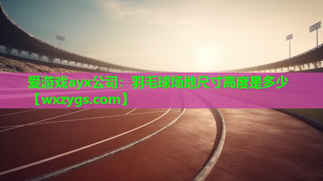 爱游戏ayx公司：羽毛球场地尺寸高度是多少