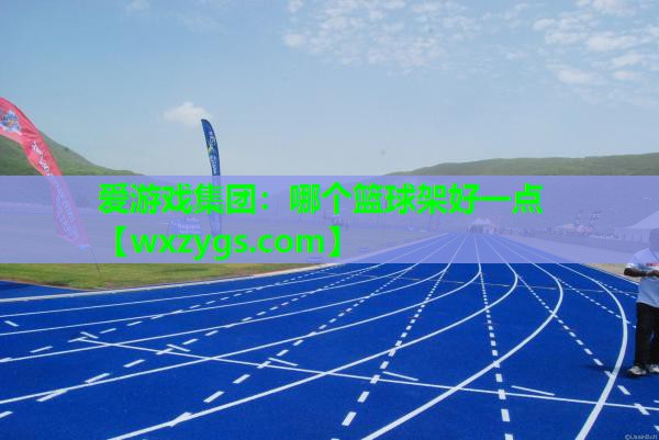 爱游戏集团：哪个篮球架好一点