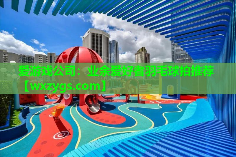 爱游戏公司：业余爱好者羽毛球拍推荐