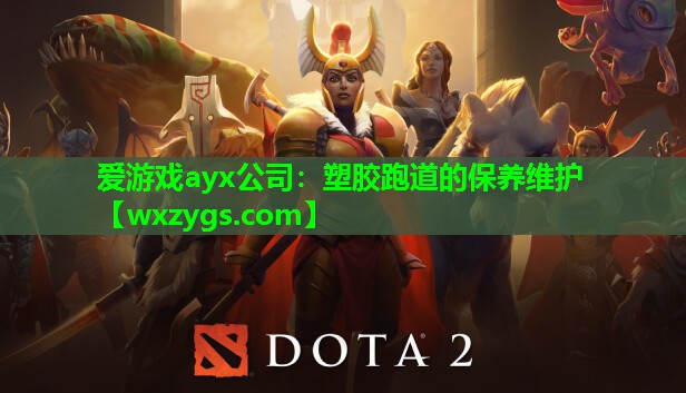 塑胶跑道的保养维护 塑胶跑道的保养维护