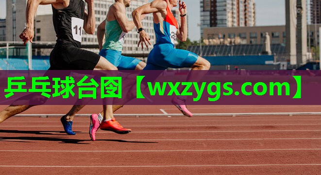 乒乓球台囹 乒乓球台囹
