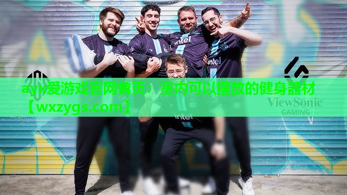 室内可以摆放的健身器材 室内可以摆放的健身器材