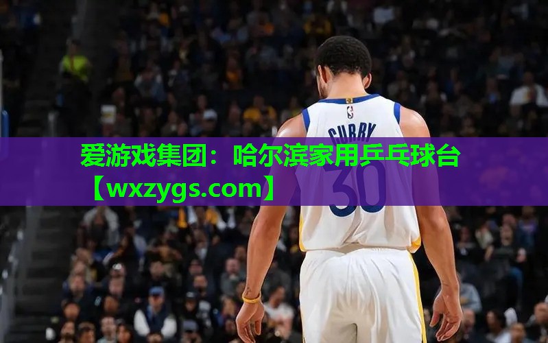 哈尔滨家用乒乓球台 哈尔滨家用乒乓球台