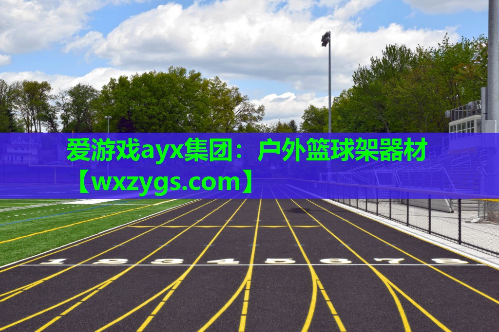 户外篮球架器材 户外篮球架器材