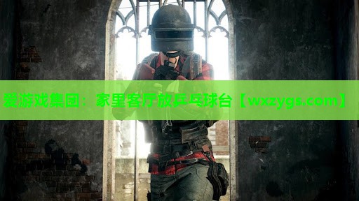 家里客厅放乒乓球台 家里客厅放乒乓球台