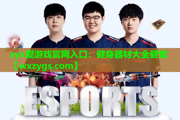 健身器材大全健臂 健身器材大全健臂