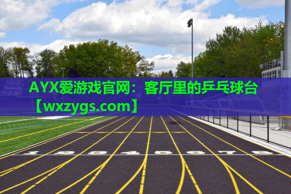 客厅里的乒乓球台 客厅里的乒乓球台