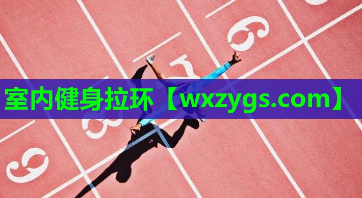 室内健身拉环 室内健身拉环