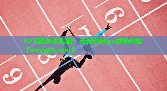 无溶剂硅pu球场价格 无溶剂硅pu球场价格