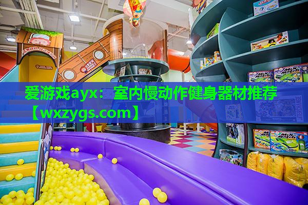 室内慢动作健身器材推荐 室内慢动作健身器材推荐