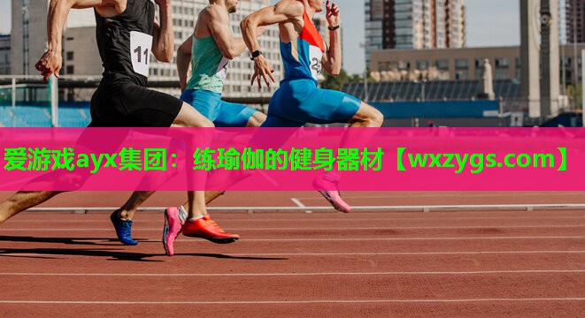 练瑜伽的健身器材 练瑜伽的健身器材