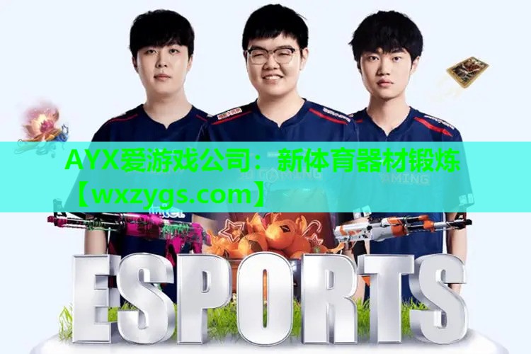 新体育器材锻炼 新体育器材锻炼