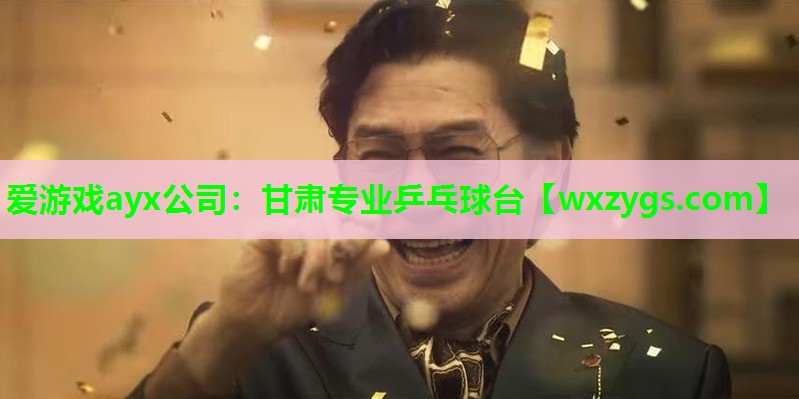甘肃专业乒乓球台 甘肃专业乒乓球台
