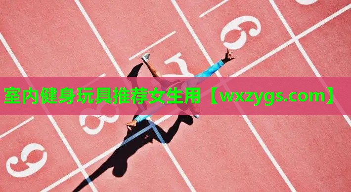 室内健身玩具推荐女生用 室内健身玩具推荐女生用