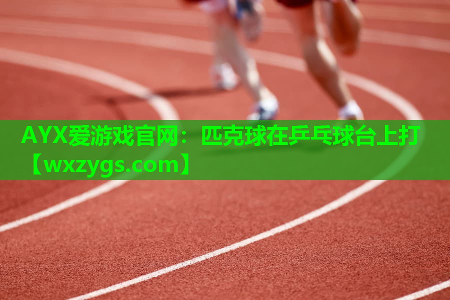 匹克球在乒乓球台上打 匹克球在乒乓球台上打