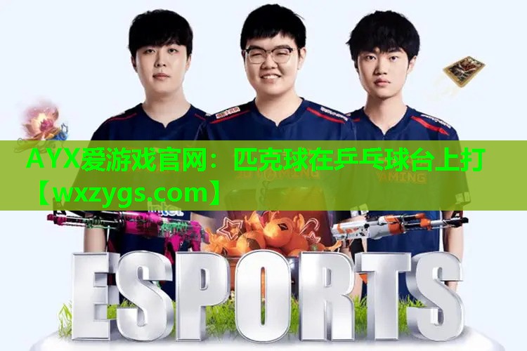 匹克球在乒乓球台上打 匹克球在乒乓球台上打