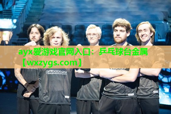 乒乓球台金属 乒乓球台金属