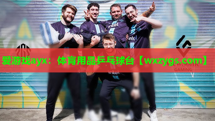 体肓用品乒乓球台 体肓用品乒乓球台