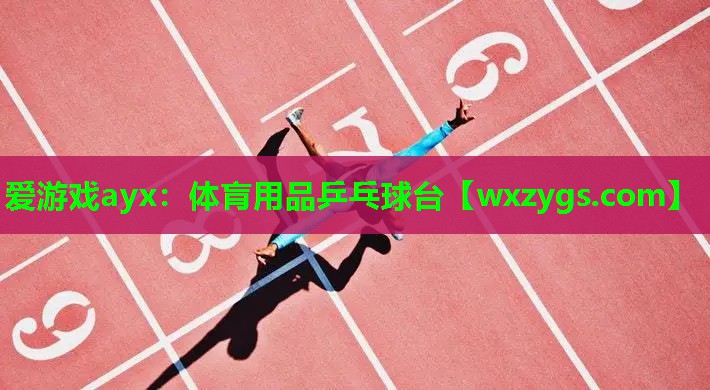 体肓用品乒乓球台 体肓用品乒乓球台