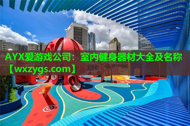 室内健身器材大全及名称 室内健身器材大全及名称
