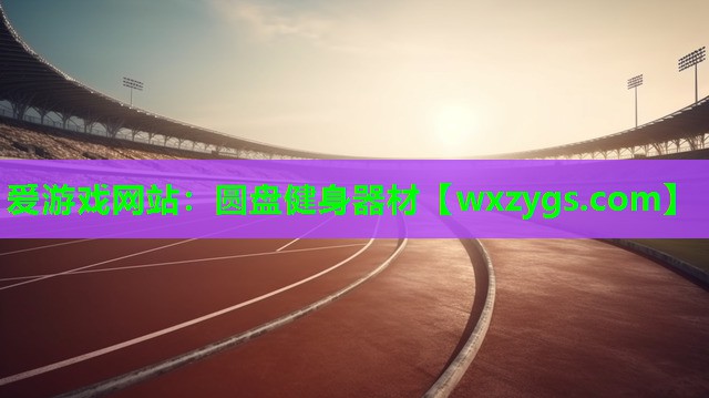 圆盘健身器材 圆盘健身器材