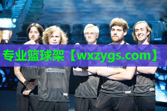 专业篮球架 专业篮球架