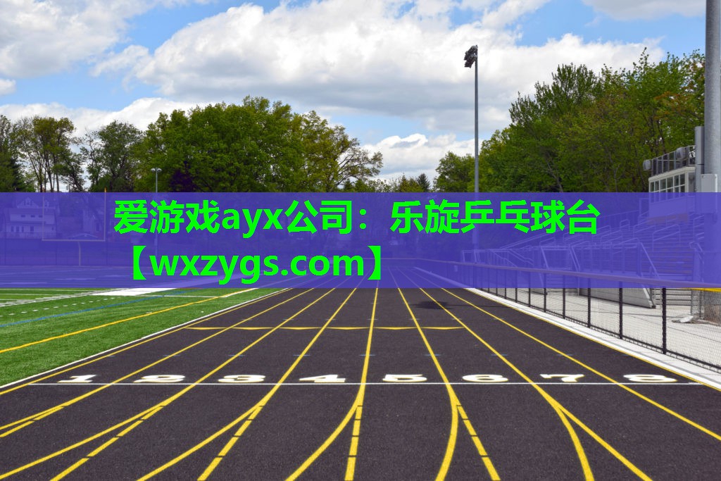 乐旋乒乓球台 乐旋乒乓球台