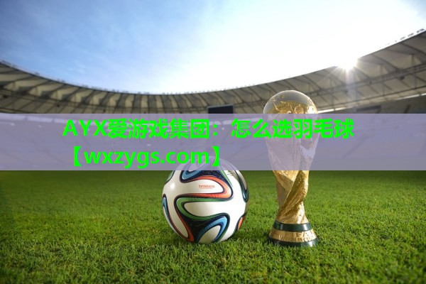 怎么选羽毛球 怎么选羽毛球