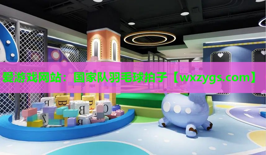国家队羽毛球拍子 国家队羽毛球拍子