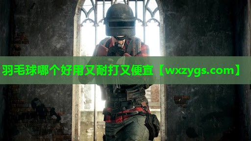 羽毛球哪个好用又耐打又便宜 羽毛球哪个好用又耐打又便宜