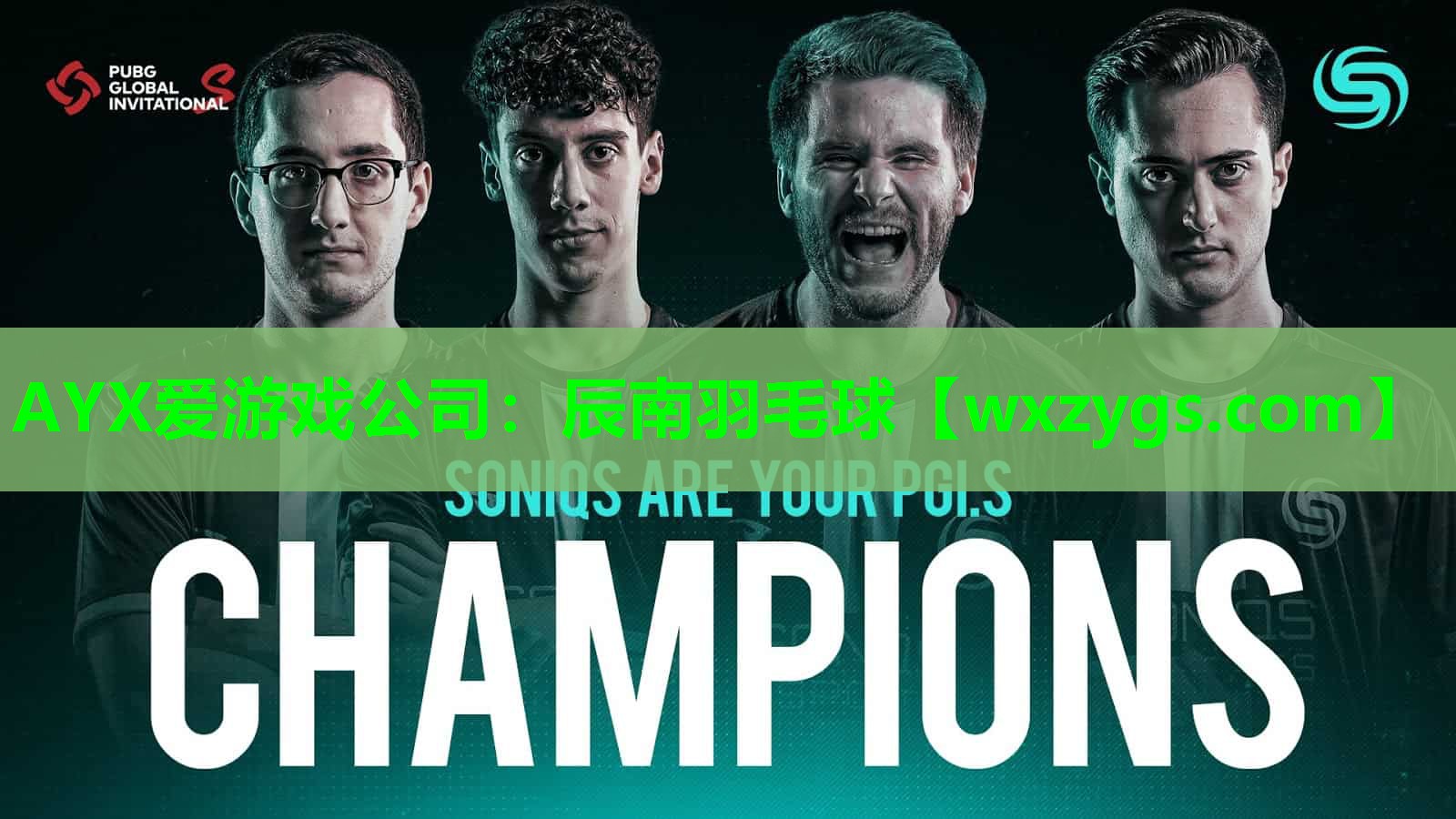 辰南羽毛球 辰南羽毛球