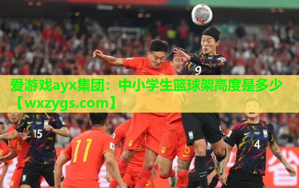 中小学生篮球架高度是多少 中小学生篮球架高度是多少