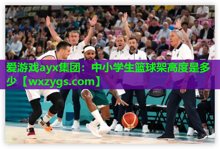 中小学生篮球架高度是多少 中小学生篮球架高度是多少