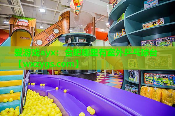 合肥哪里有室外乒乓球台 合肥哪里有室外乒乓球台
